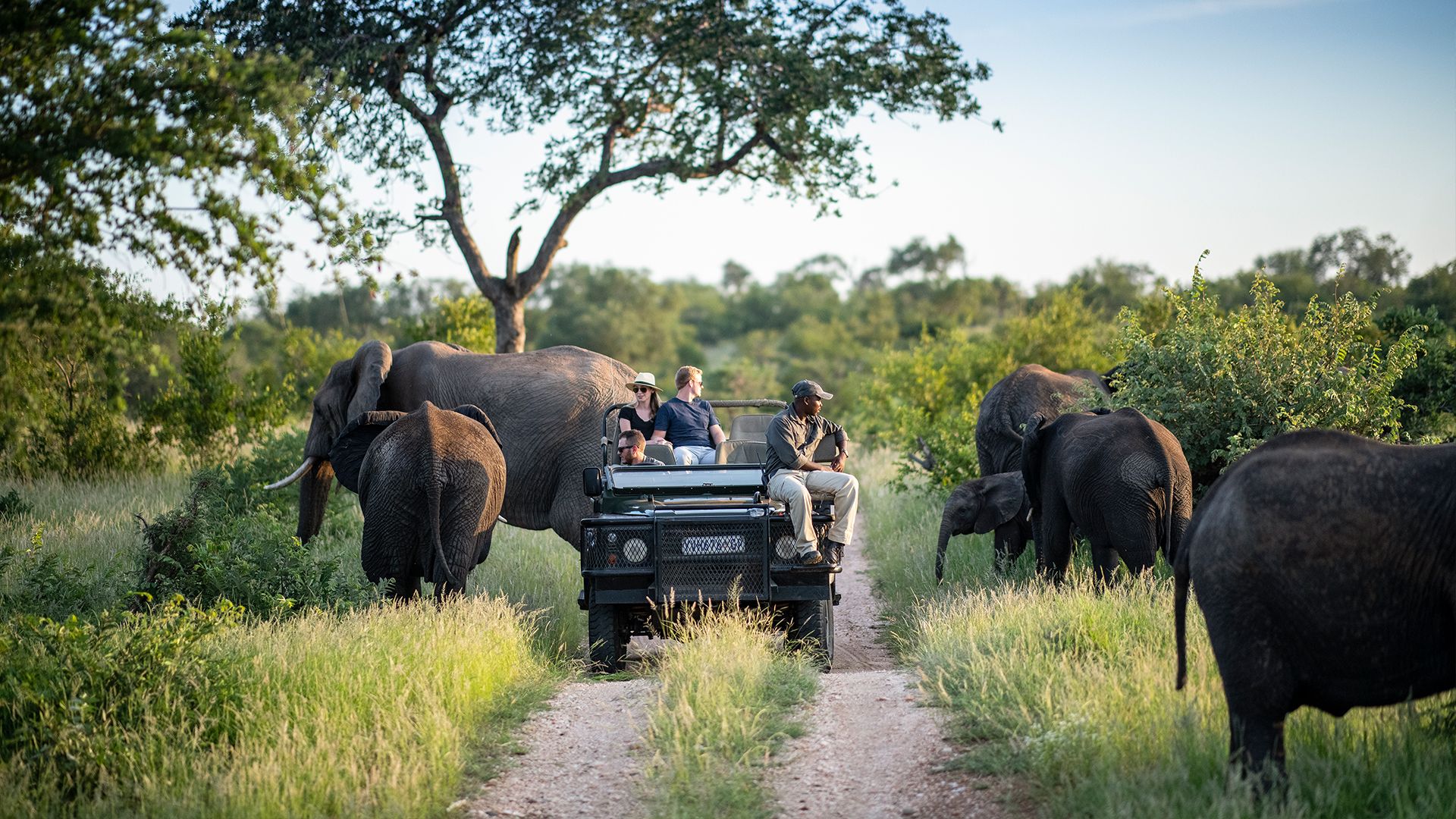south africa safari november